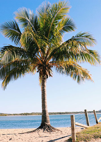 Maroochydore Holiday Apartments