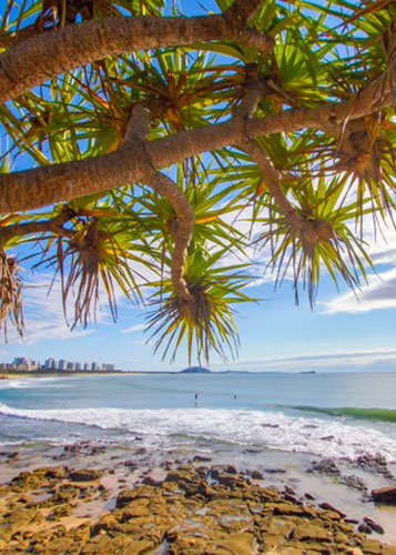 Maroochydore Beachfront Apartments